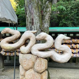 巳年のヘビさん　
ちゃんと2025って書いてある