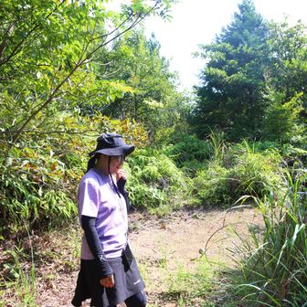 滝ヶ平山
YAMAP山頂マークはこの辺
YAMAP1842座目