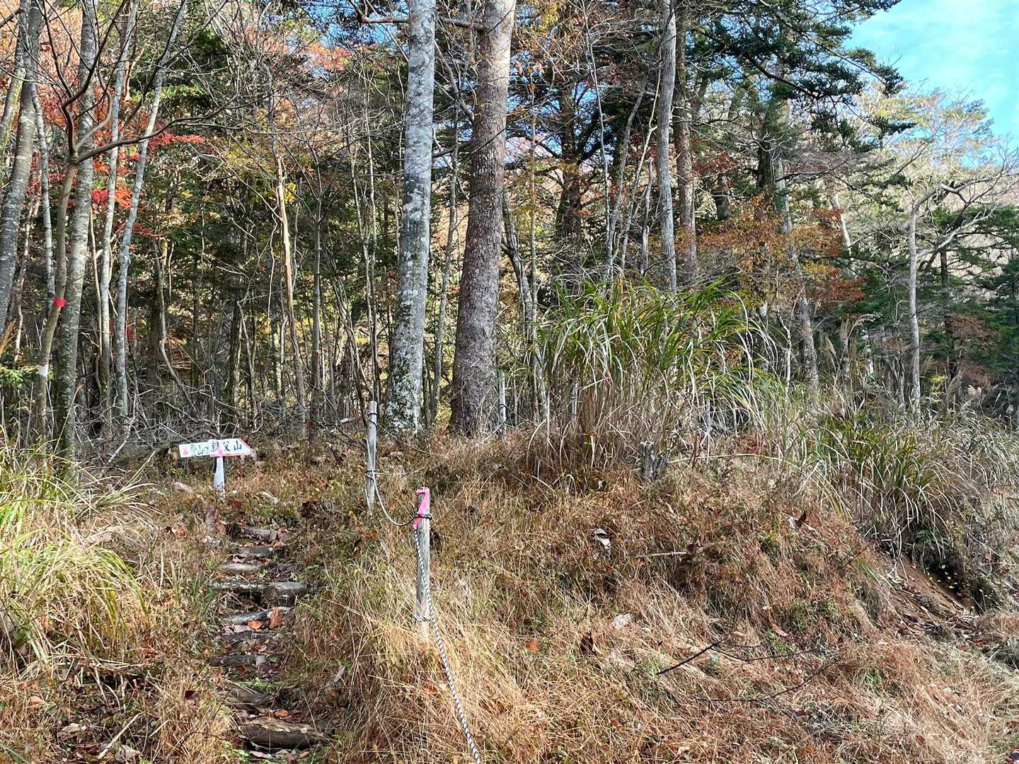 今の所お天気はばっちり👌
11月にも関わらず少し暑い位です。