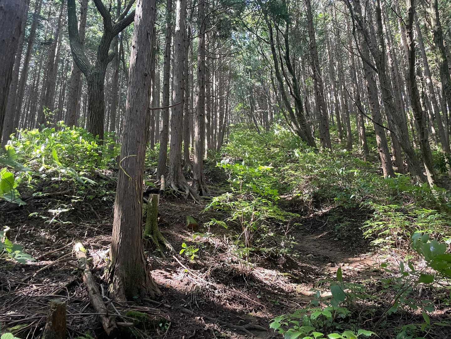 虫も少なくなってきて快適～✨