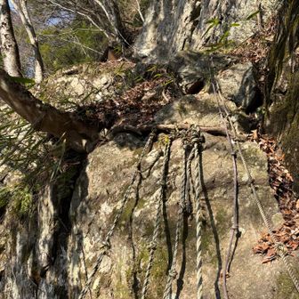 高巻き途中に､お地蔵さんを見つけました。写真を撮るのが失礼と思い､撮らなかったですが、凄い場所に鎮座していました。亡くなられた方の供養として置かれたのでしょうか。