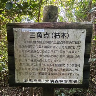 着いた⛰️