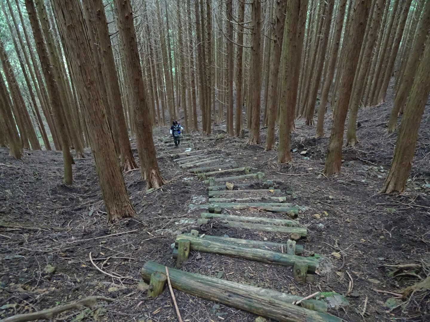 結構急な所もあります