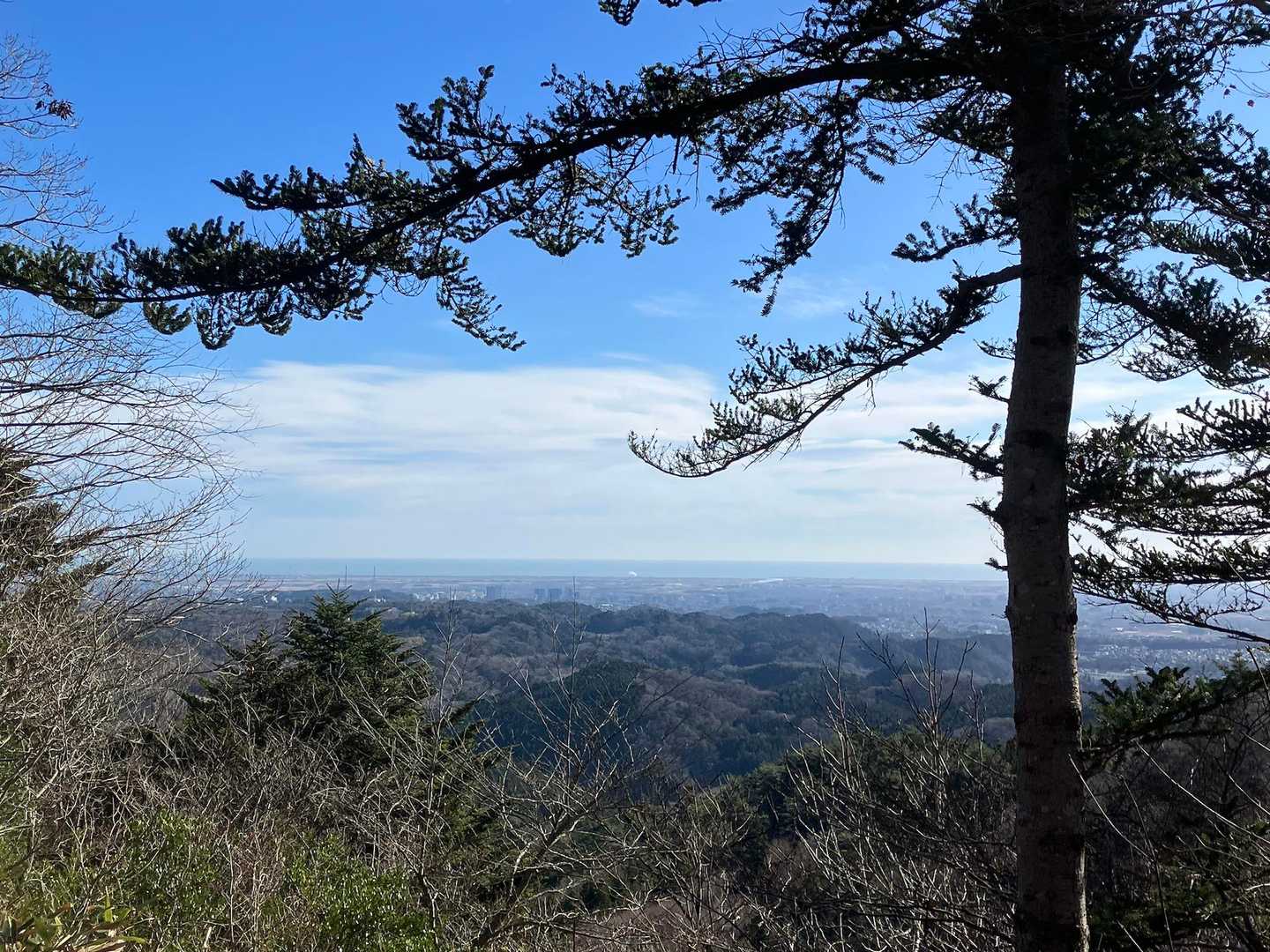 海も見えました✨️