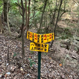 分岐