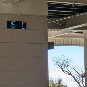 頂上部到着！気温16℃🌡️体を通り抜ける風がとても気持ちイイ😌　山で熱風はゴメンだ