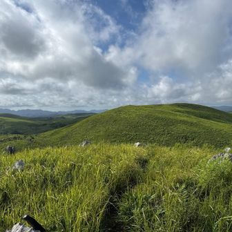 雲の動きが速い。
緑が吹く風に揺れている。