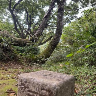 登頂