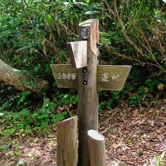 3日目、分岐(清水峠蓬峠土合)　