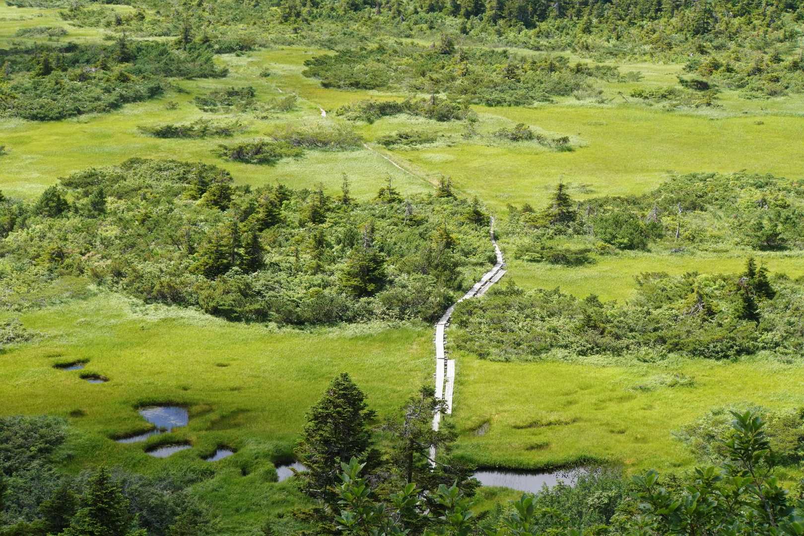 八甲田大岳登山口-八甲田山-井戸岳-毛無岱湿原経由八甲田登 縦走コースの写真