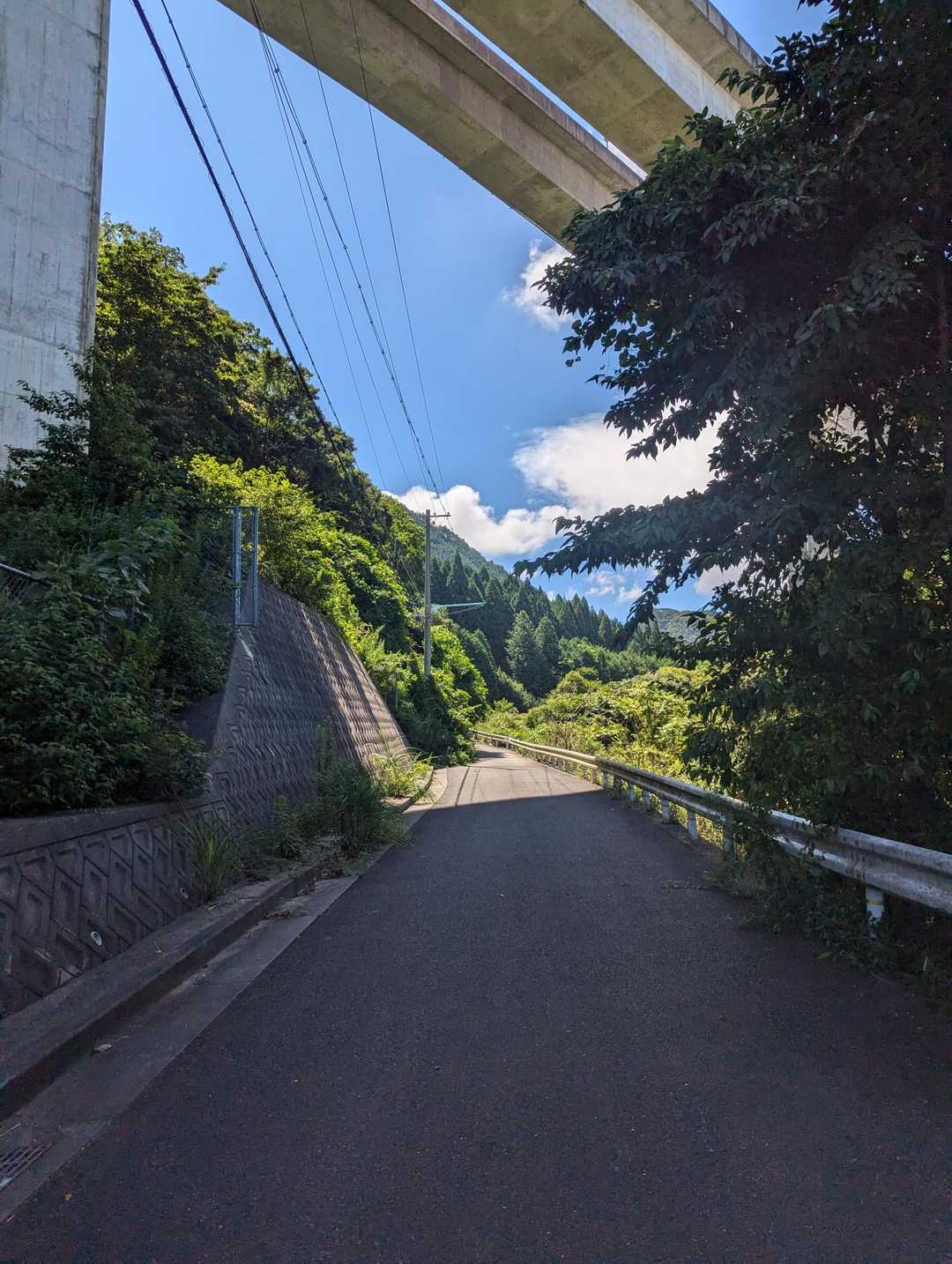 舗装路を山へ！