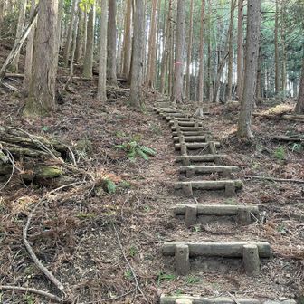 頂上に近づくと階段が多くなります