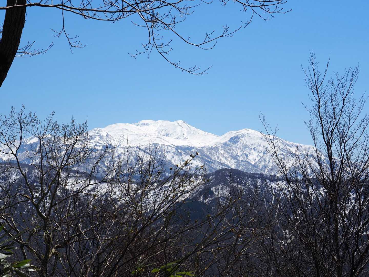 ここからも白山✨
この後
徐々に標高を下げるに従い
白山は視界から消えました🥲