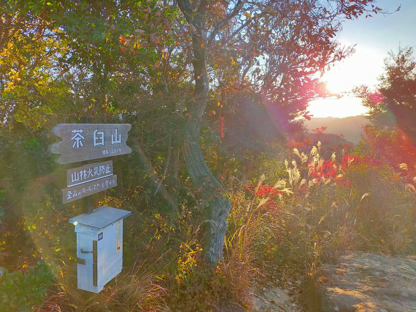 茶臼山-イナバ山 往復コースの写真
