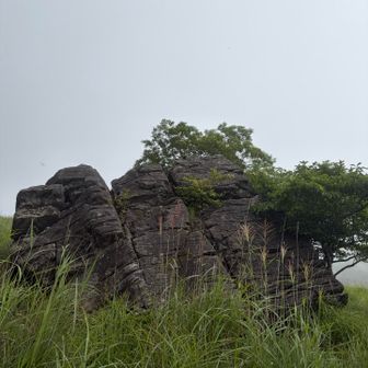 月見岩