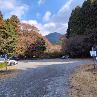 昼過ぎには降りて来た。11km程度に5時間半。以外に時間かかった。帰り途中から右膝痛み。伸ばすと痛い。関節の靭帯？
このコースを真冬に来るとキツそう…。