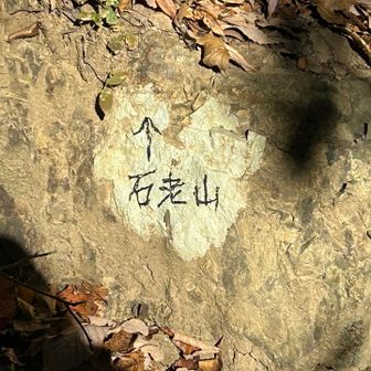 わかりやすくなってて感動🥹