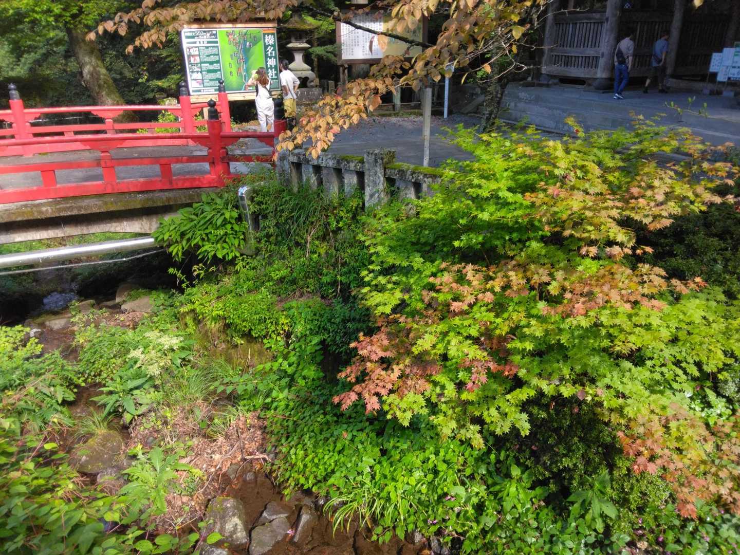 紅葉がちょっぴり🍁