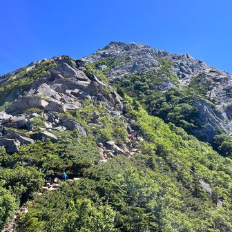 登りは直登にチャレンジ