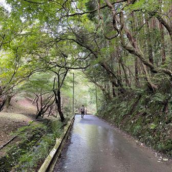 山からの水が道路にも少し流れ込んでいました