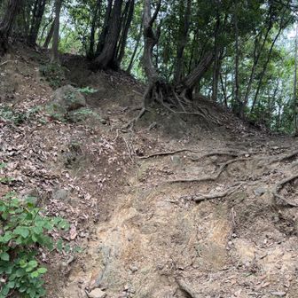 雨で削られた登山道