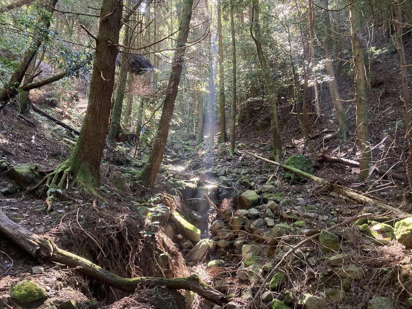 一筋