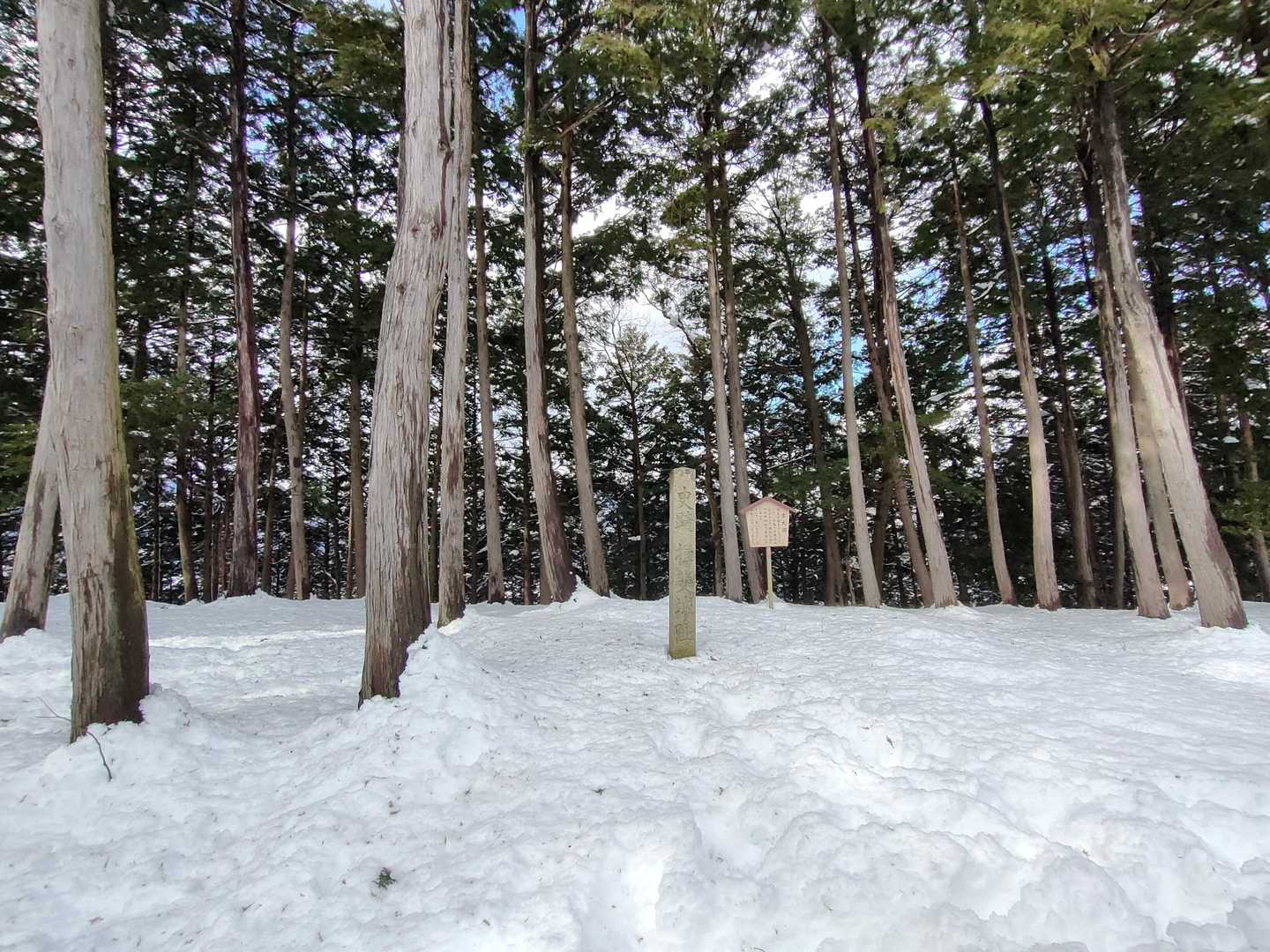 城台山山頂
本丸跡