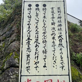 ここは熊野古道の一部。