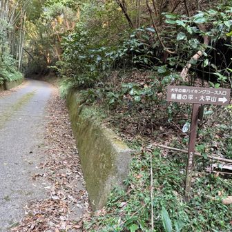 伊東市内に前泊して大平の森ハイキングコース入口まで歩いてきました