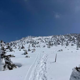 避難小屋側に下山すると、トレースがちょっと薄くなってました。こちらのルートを使う人があまりいないのかも
