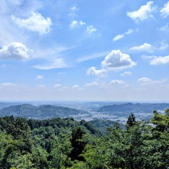 展望台から。。