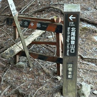 一度林道に降ります♪