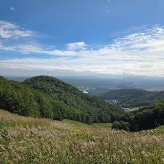 振り返って、山鼻山ほか