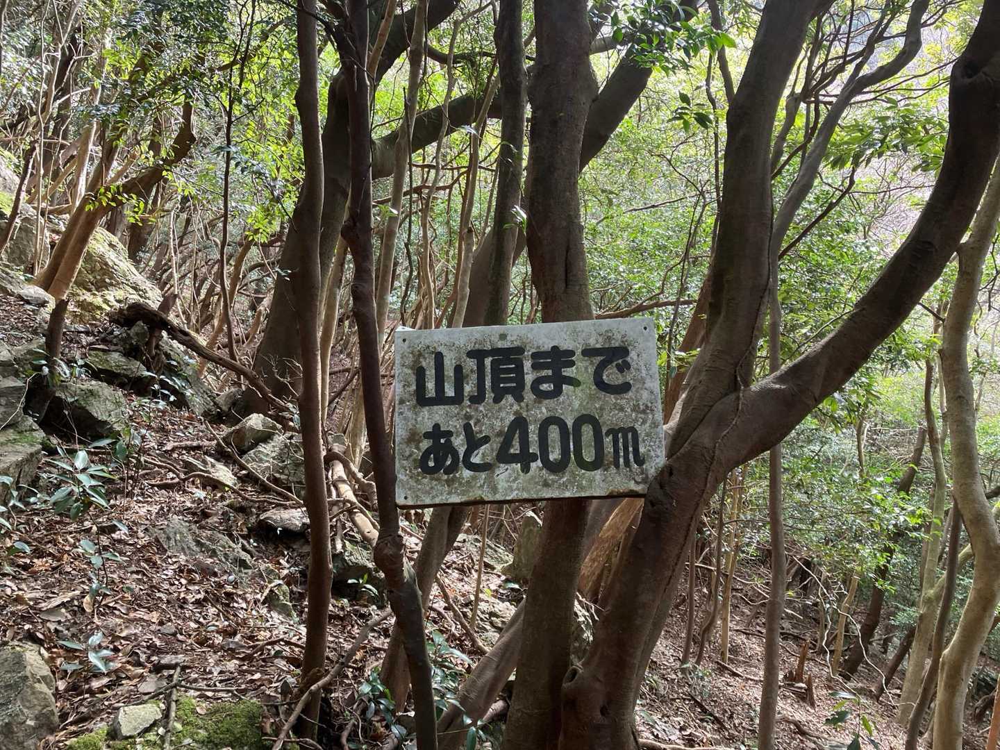 彦岳 往復コースの写真