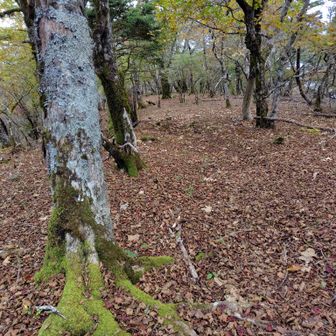 下山します