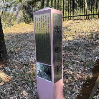 鎌倉道に入ります