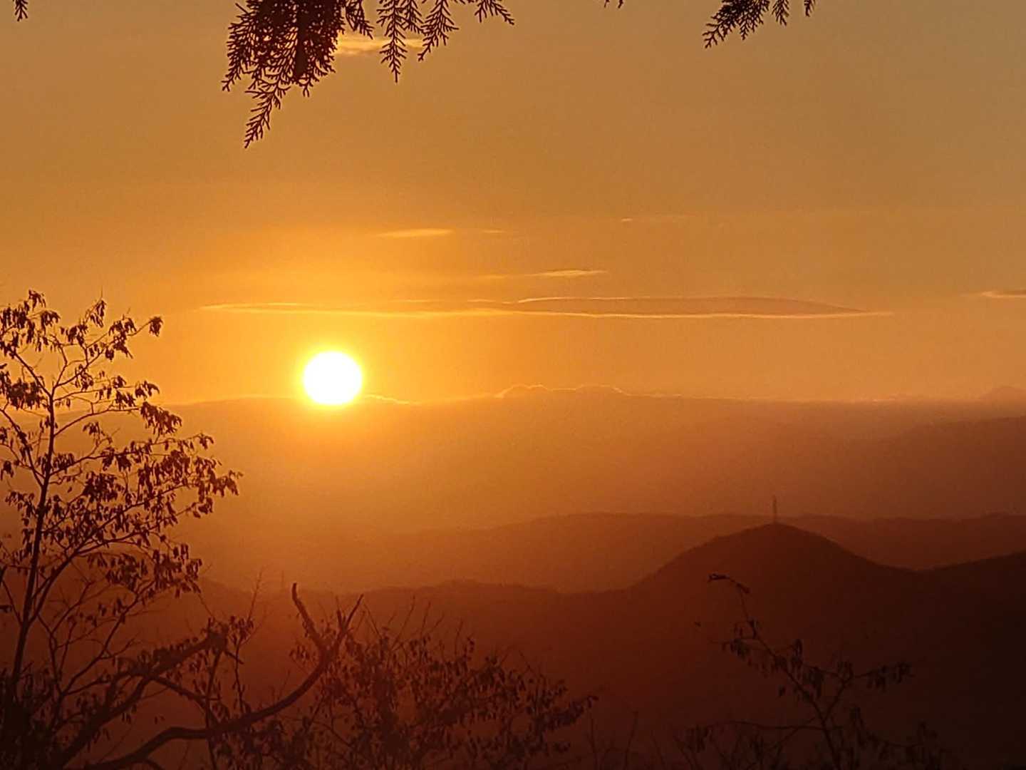 2025年の初日の出🌄