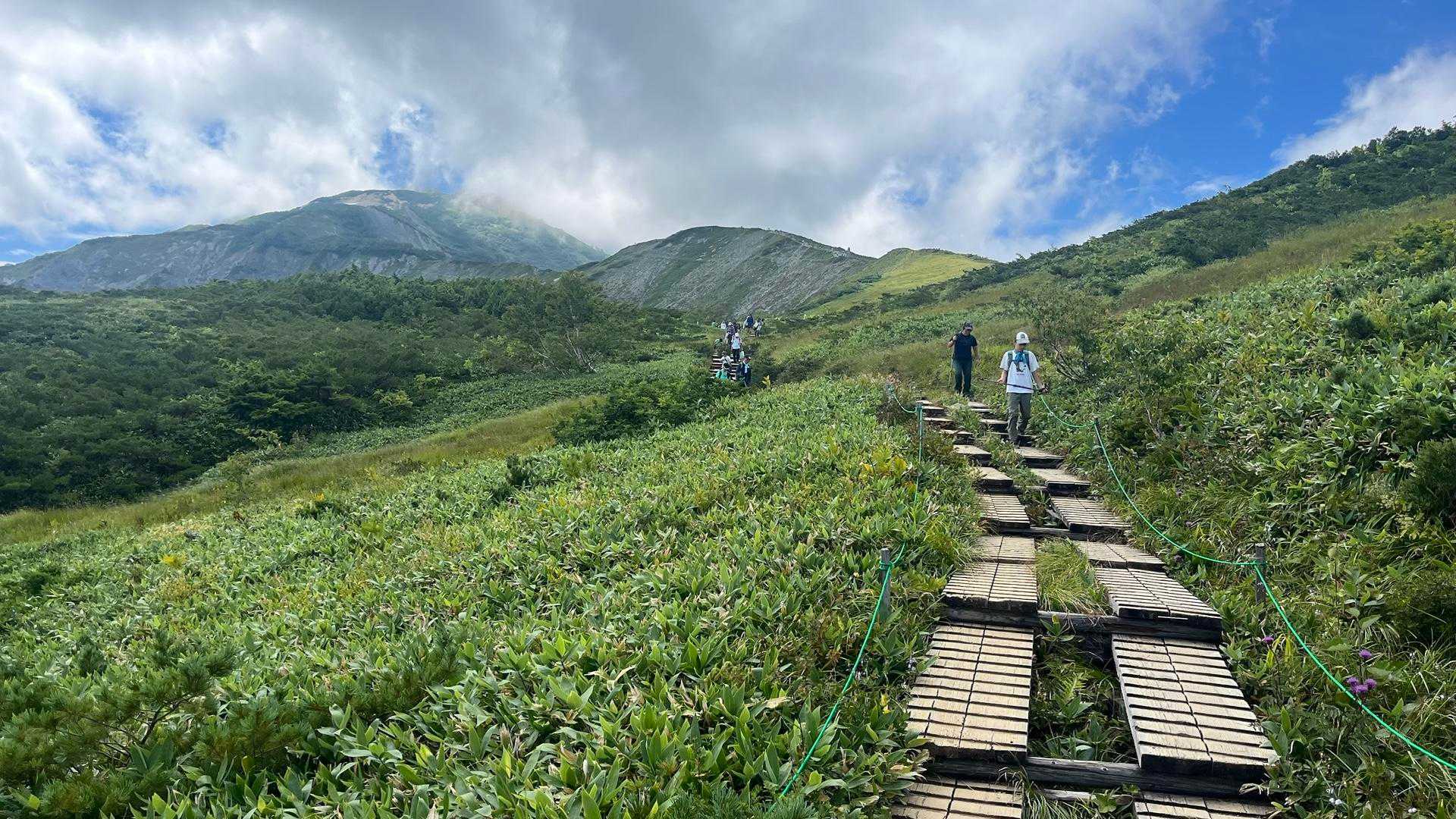 高山植物を見ながら気持ちいい木道歩き