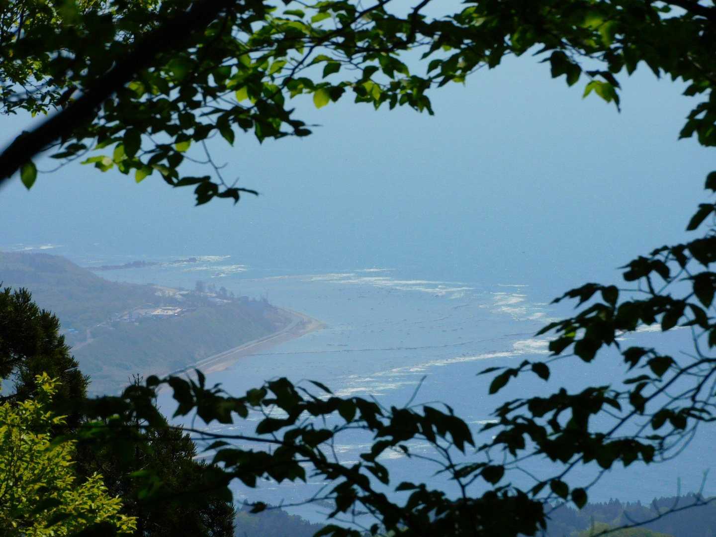 鵜ノ崎海岸が見えました