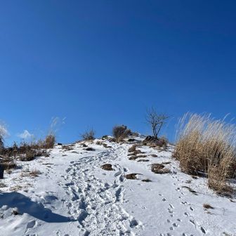 ラビットハウスからすぐに山頂です😊