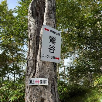 分岐再び
新道で帰ります