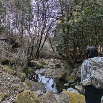 後は林道
激上りの山やった(笑)