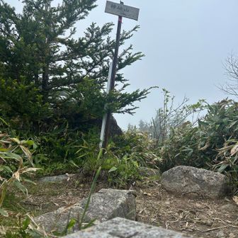 ちょっと登って神坂山
三等三角点