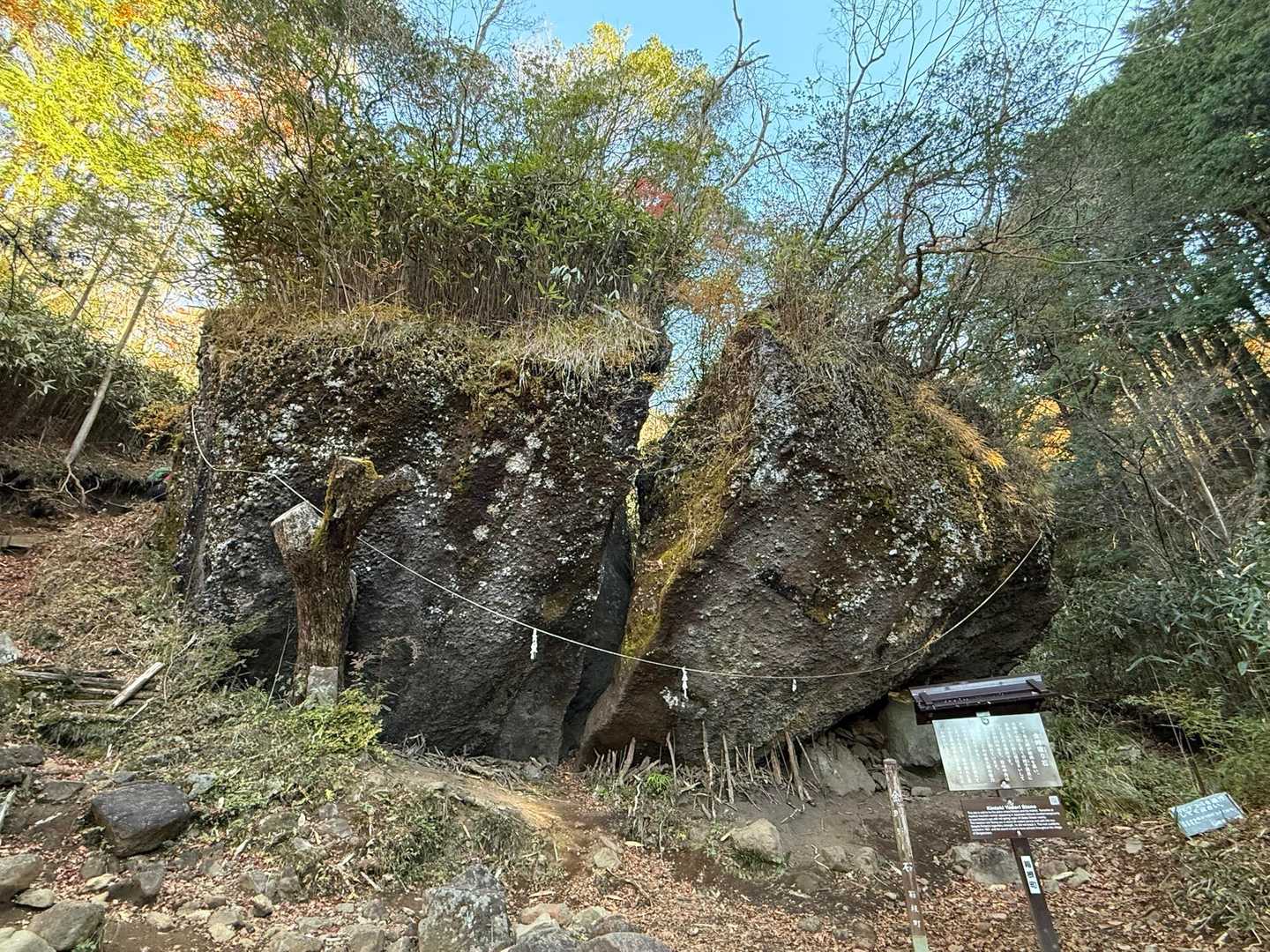 これ🪨

金太郎の怪力で切ったんじゃないなら、炭治郎か⁉️