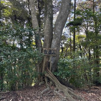 山頂で団体さんと一緒になりました
こんなにたくさんの人でいっぱいになる山頂は
はじめてでした
わいわい楽しそうで元気貰いました😀