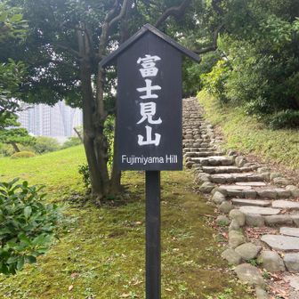 富士見山