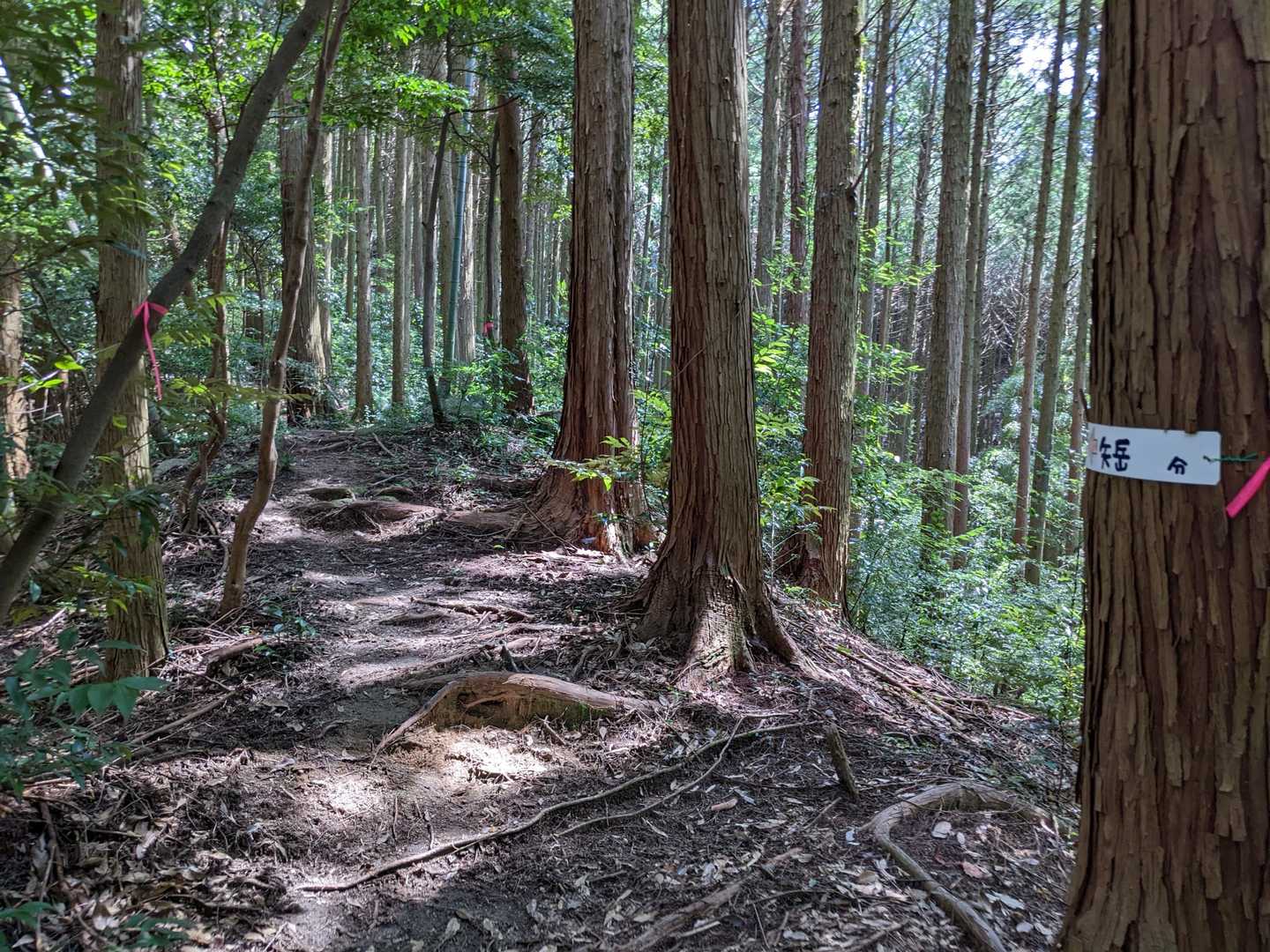 今日は、風もあって涼しい！