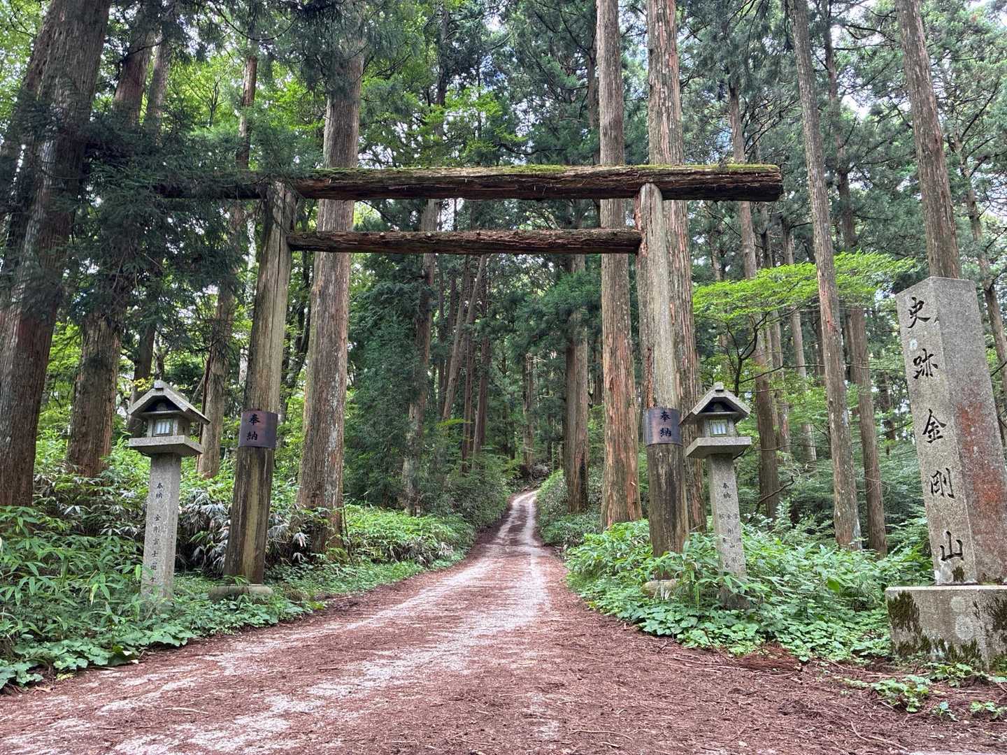 高天彦神社-府民の森 ちはや園地 往復コースの写真