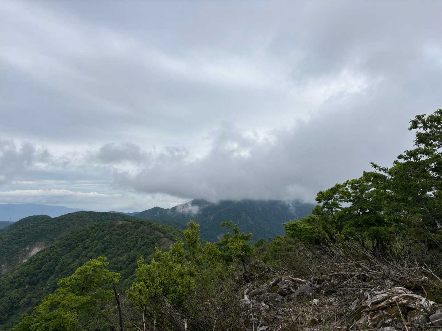 伊吹山はこんな感じ