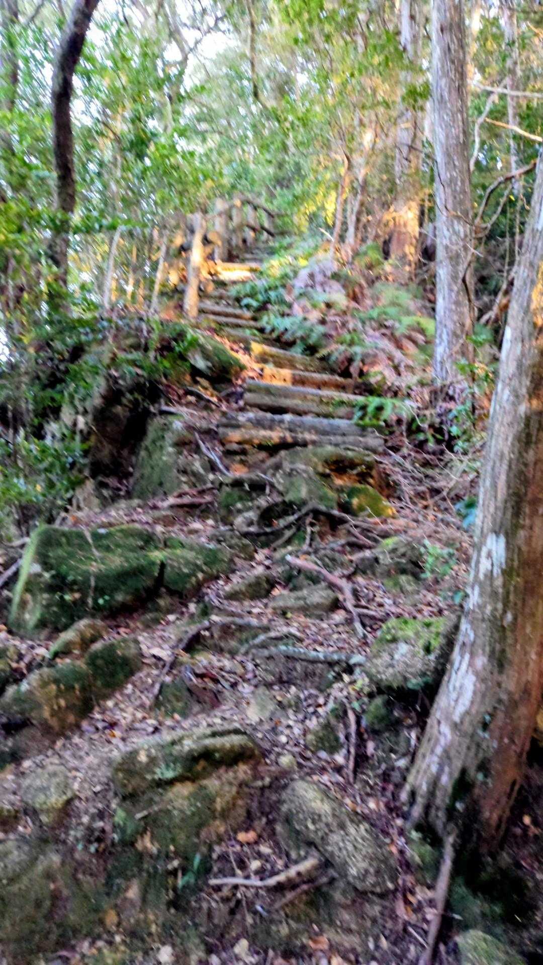千穂ヶ峰頂上への階段